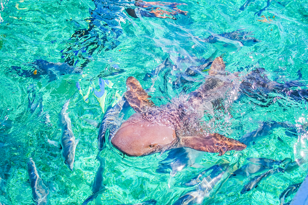 Belize