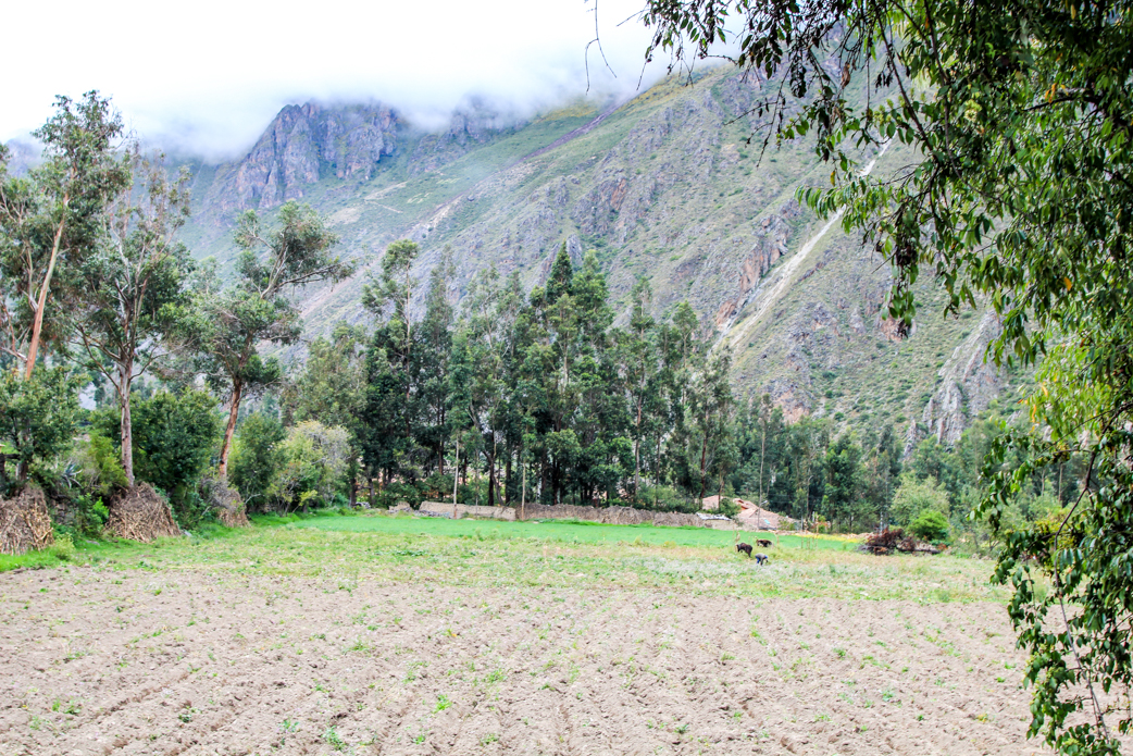 Peru