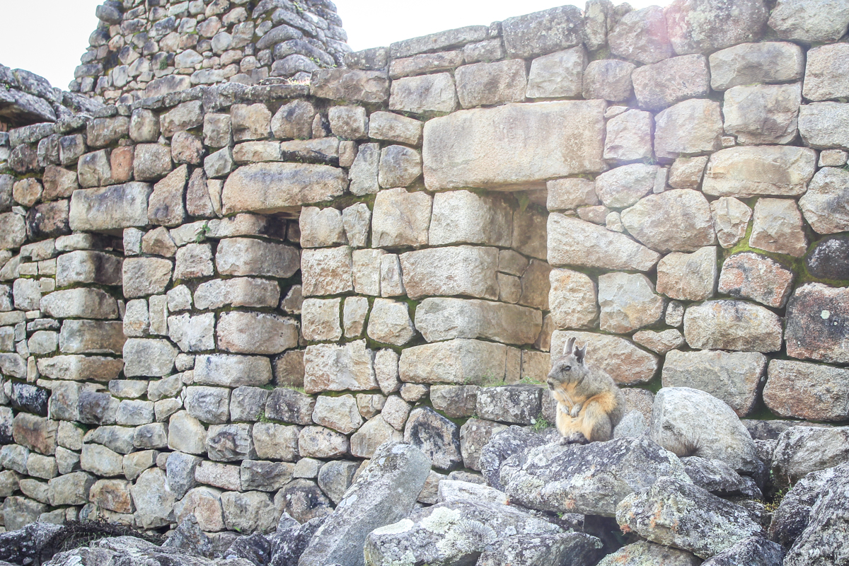 Machu Picchu