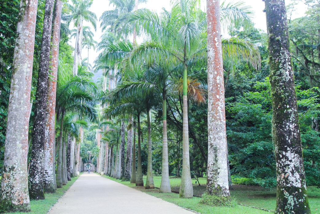 rio de janeiro