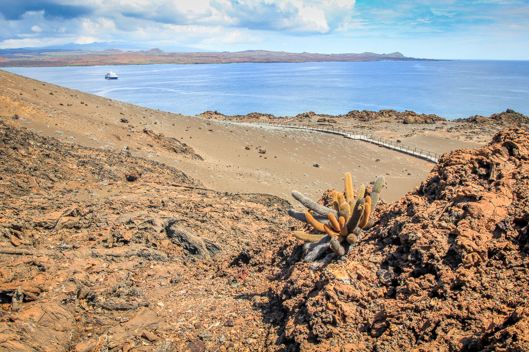 IMG_1737_galapagos