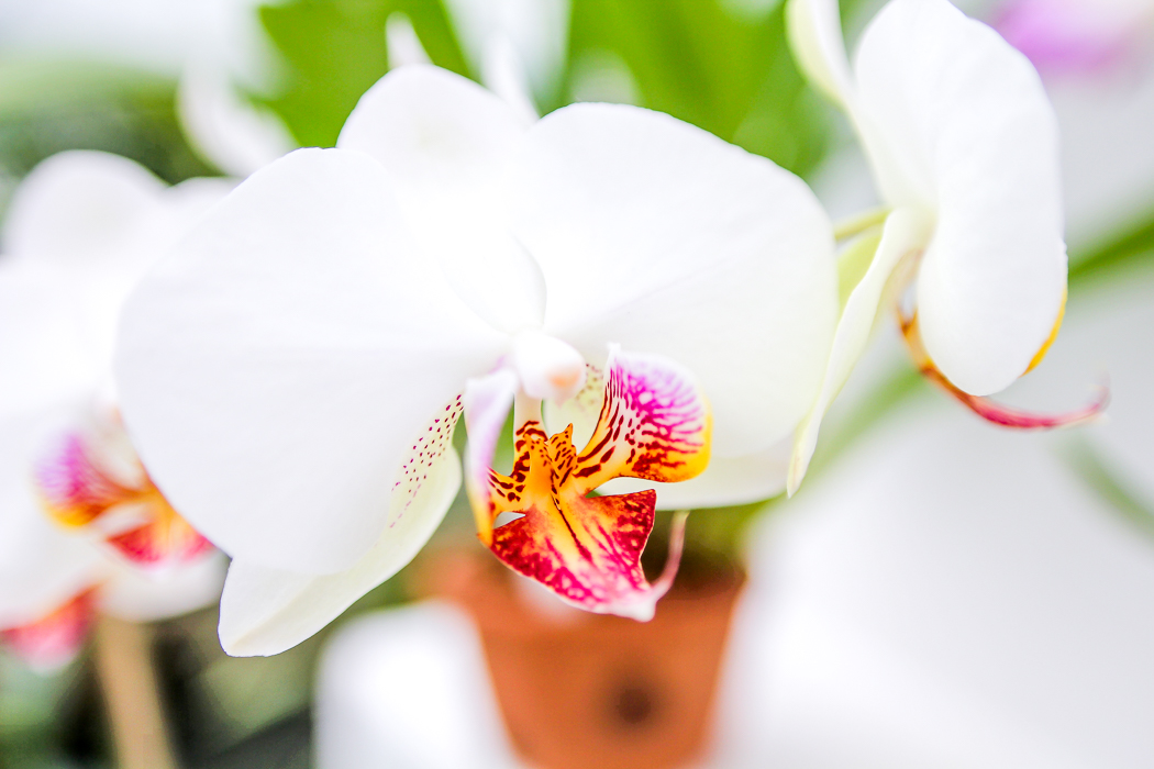 IMG_3449_rio de janeiro