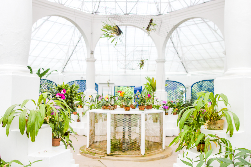 IMG_3475_rio de janeiro