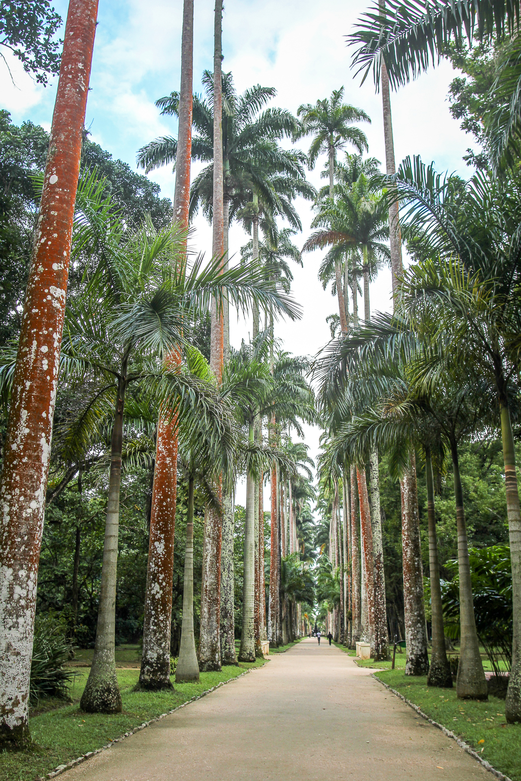 IMG_3496_rio de janeiro