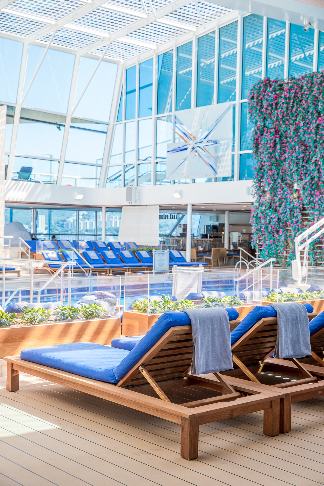 IMG_8089_celebrity cruises