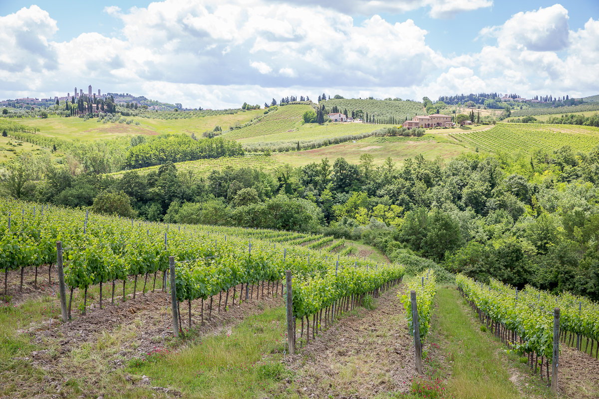 IMG_9475_Toscana