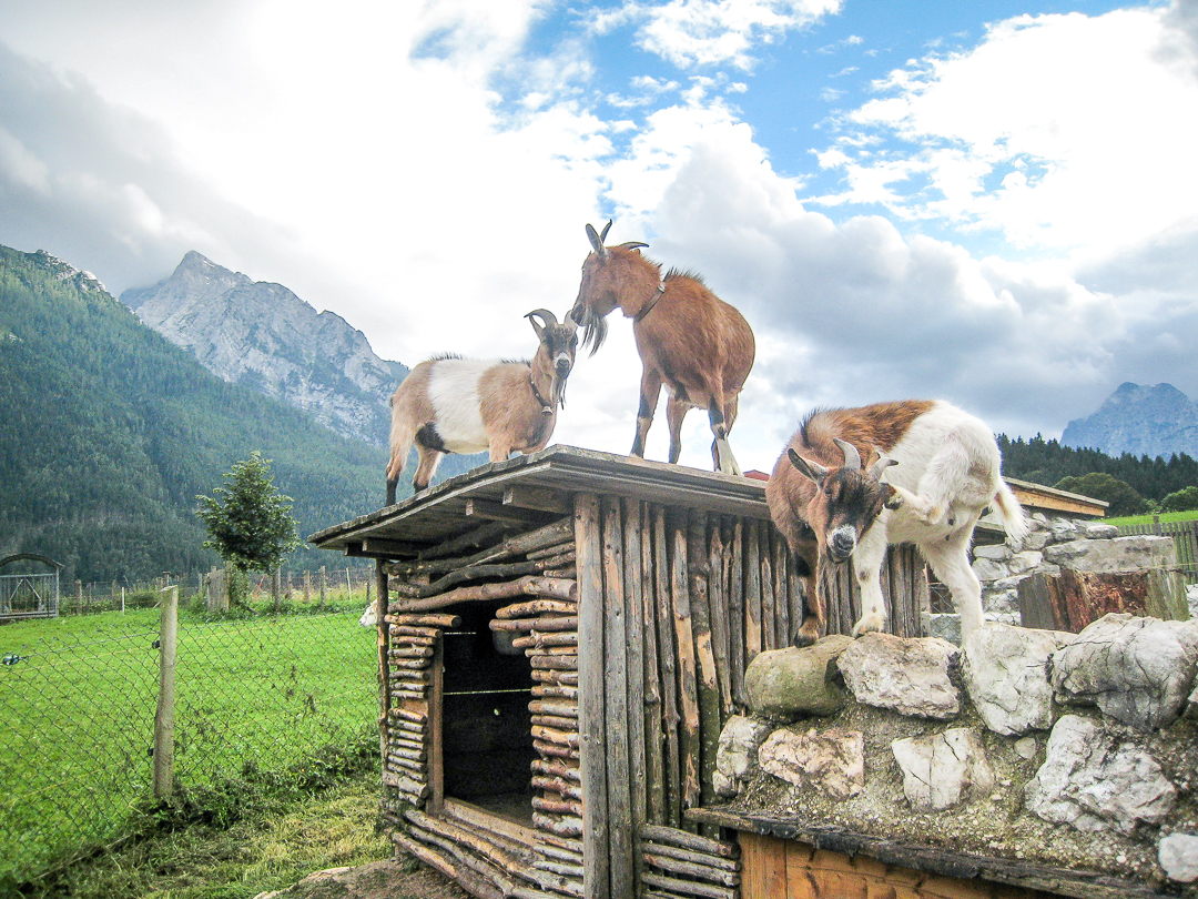 Picture 031_Eurooppa autolla