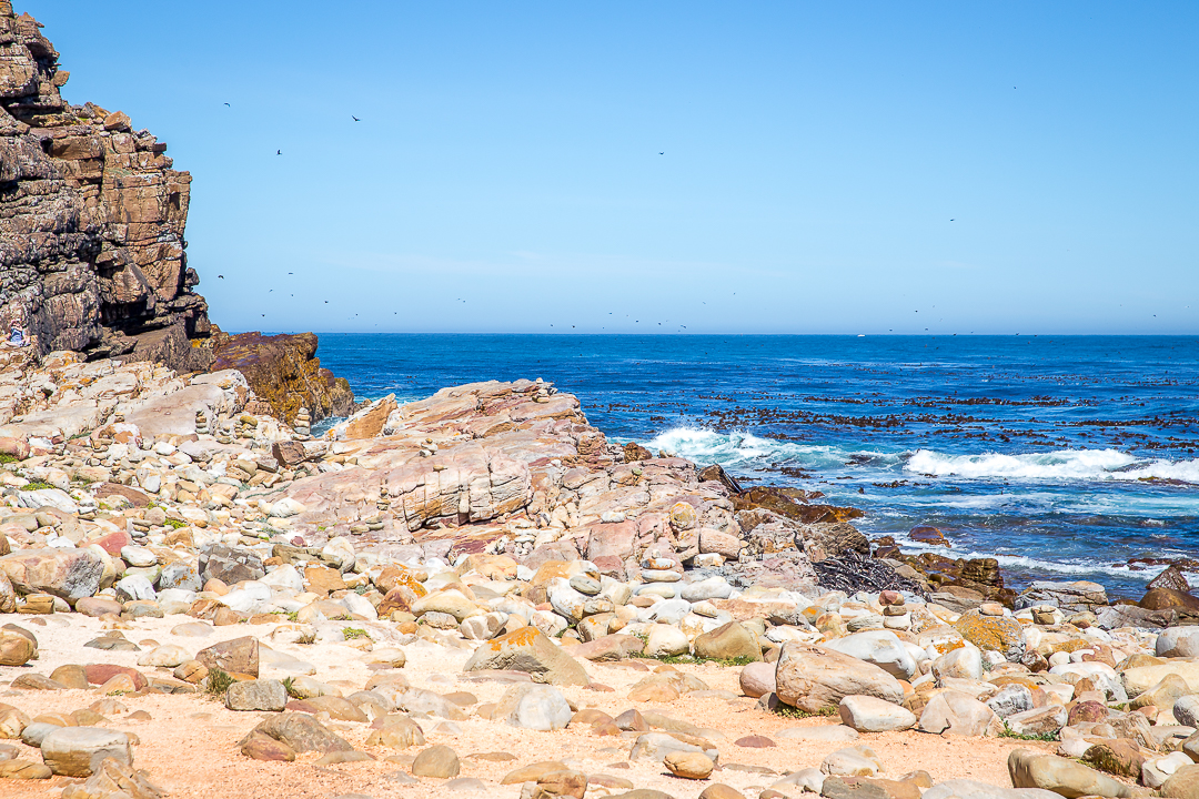 img_4117_cape-town