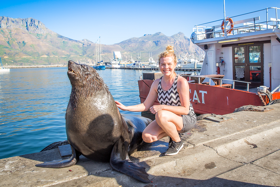 img_4151_cape-town-3