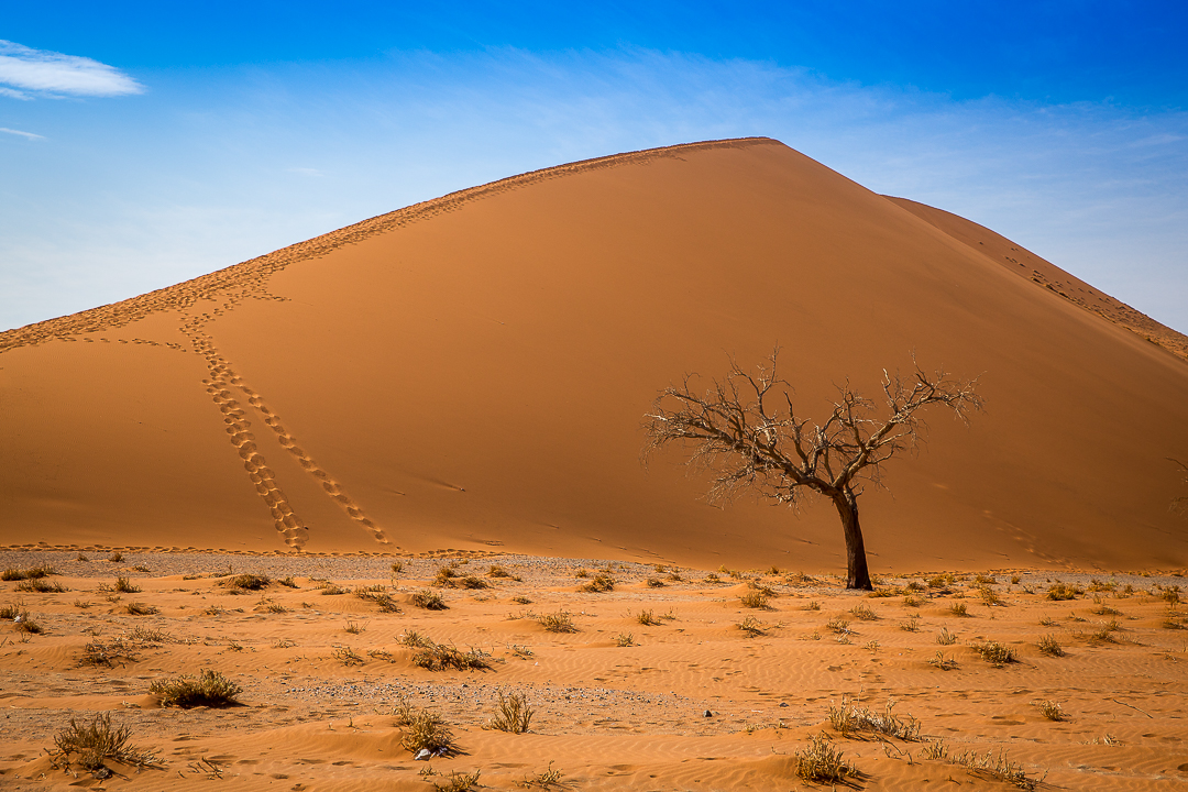 img_4847_cape-to-nairobi