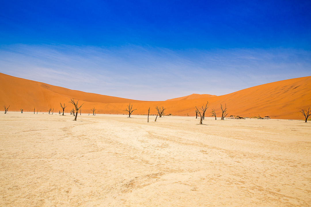 img_4867_cape-to-nairobi