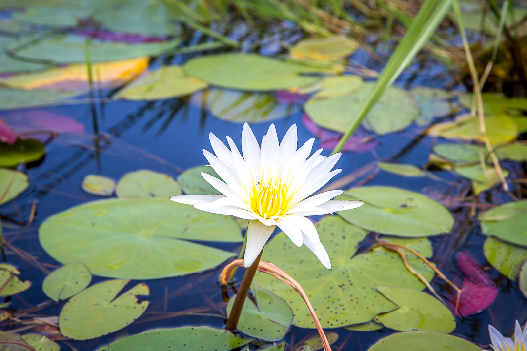 img_5304_cape-to-nairobi