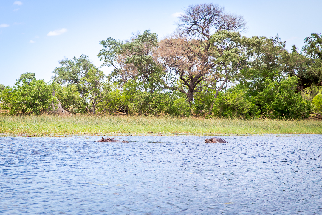 img_5311_cape-to-nairobi