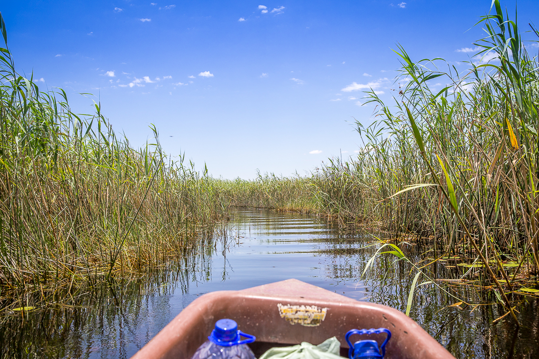 img_5392_cape-to-nairobi