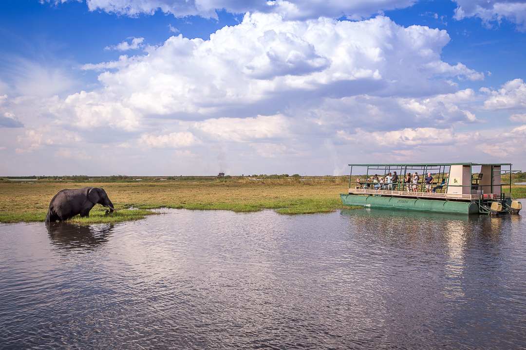 img_5491_cape-to-nairobi