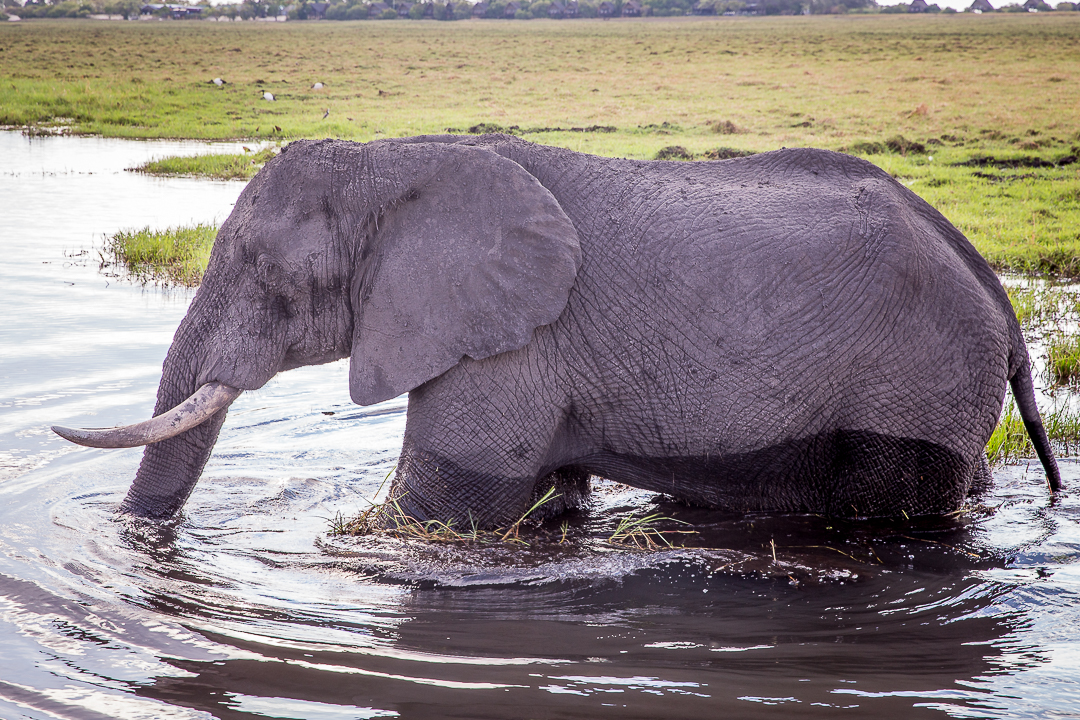 img_5501_cape-to-nairobi