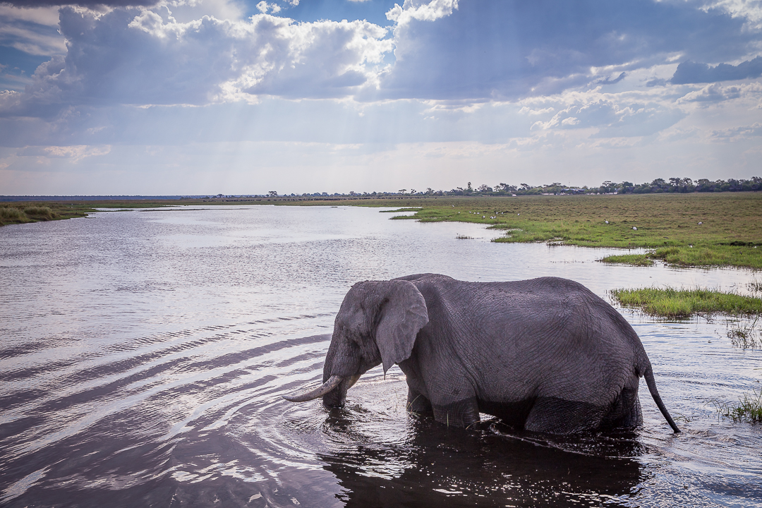 img_5502_cape-to-nairobi