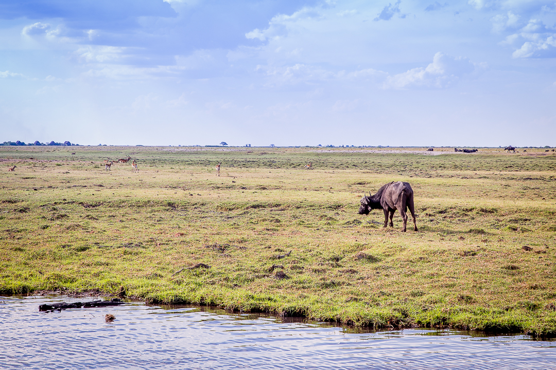 img_5510_cape-to-nairobi