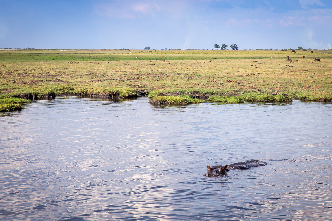 img_5526_cape-to-nairobi