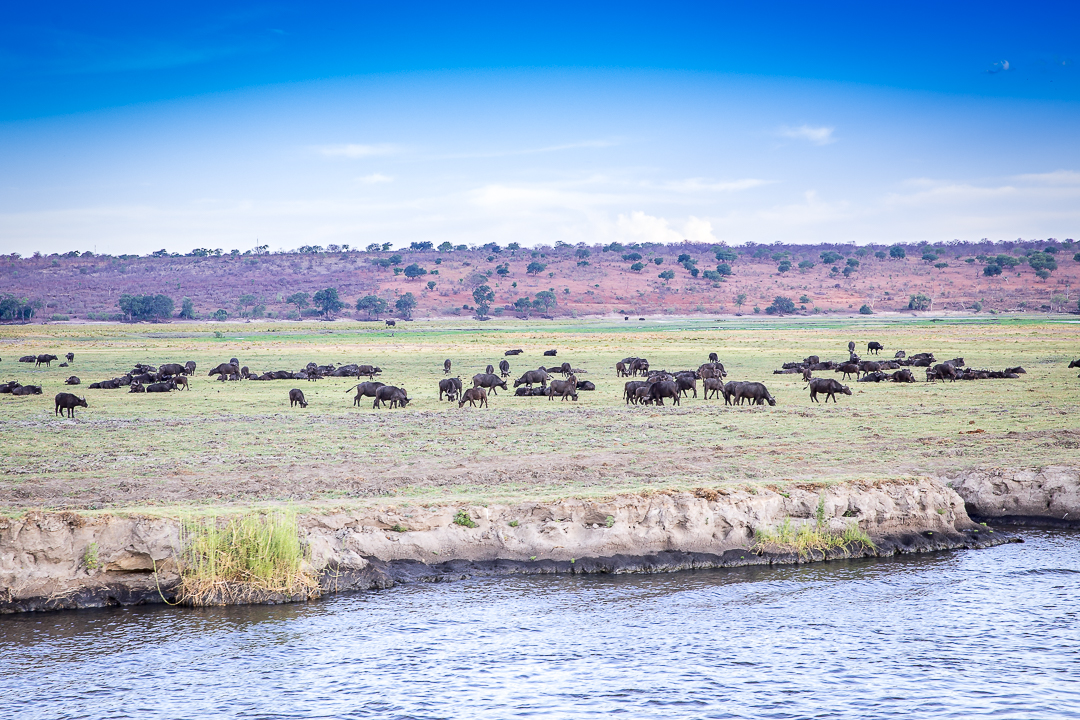 img_5543_cape-to-nairobi