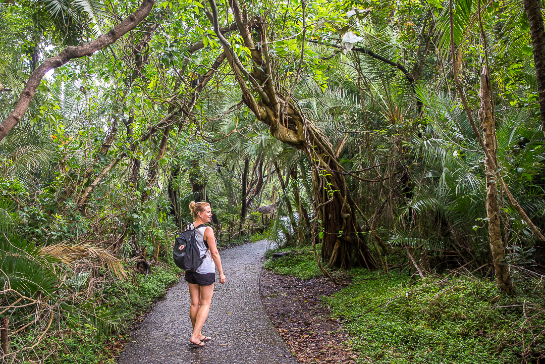 img_5692_cape-to-nairobi