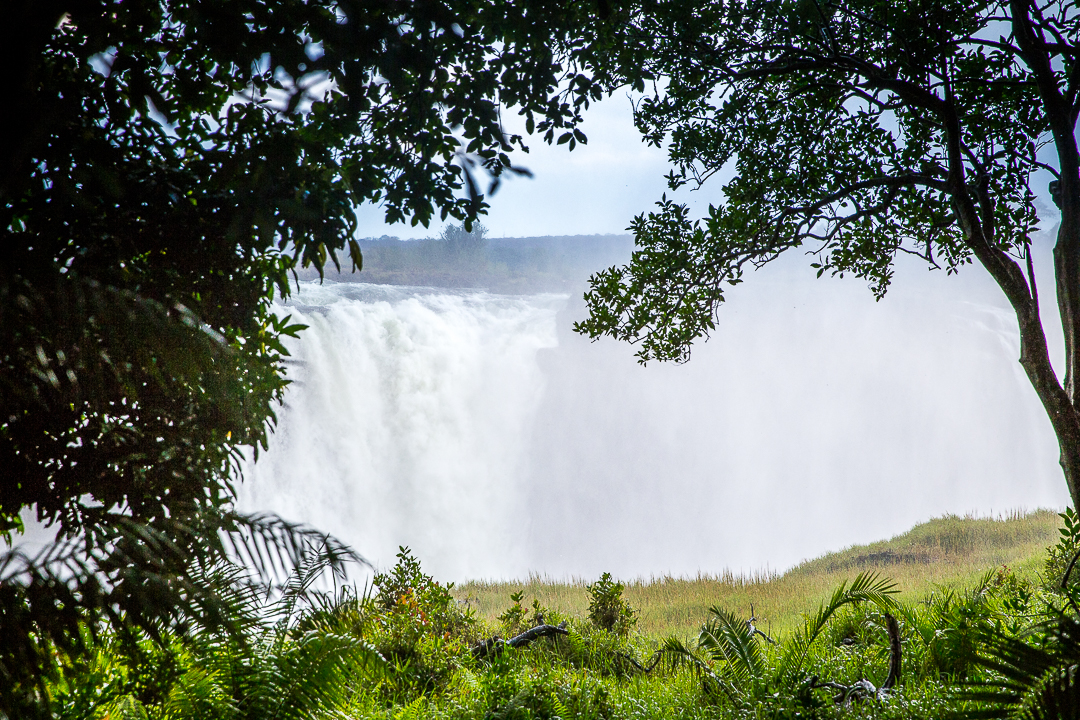 img_5696_cape-to-nairobi